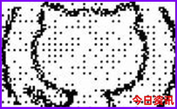 自驾游app排行榜前十名